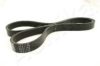 ASHIKA 112-5PK1140 V-Ribbed Belts